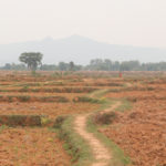 India landscape
