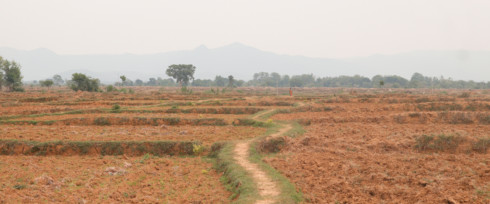 India landscape