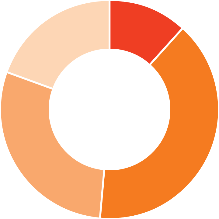 Ipas 2020 Impact Report Expenses Ipas 2020 Impact Report Expenses
