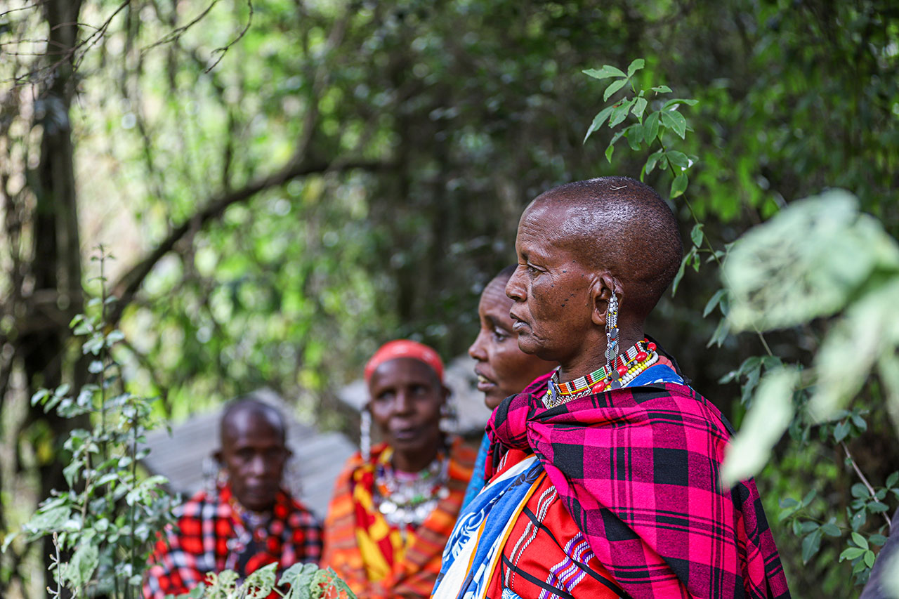 The women of the beehive project stand near the hives.