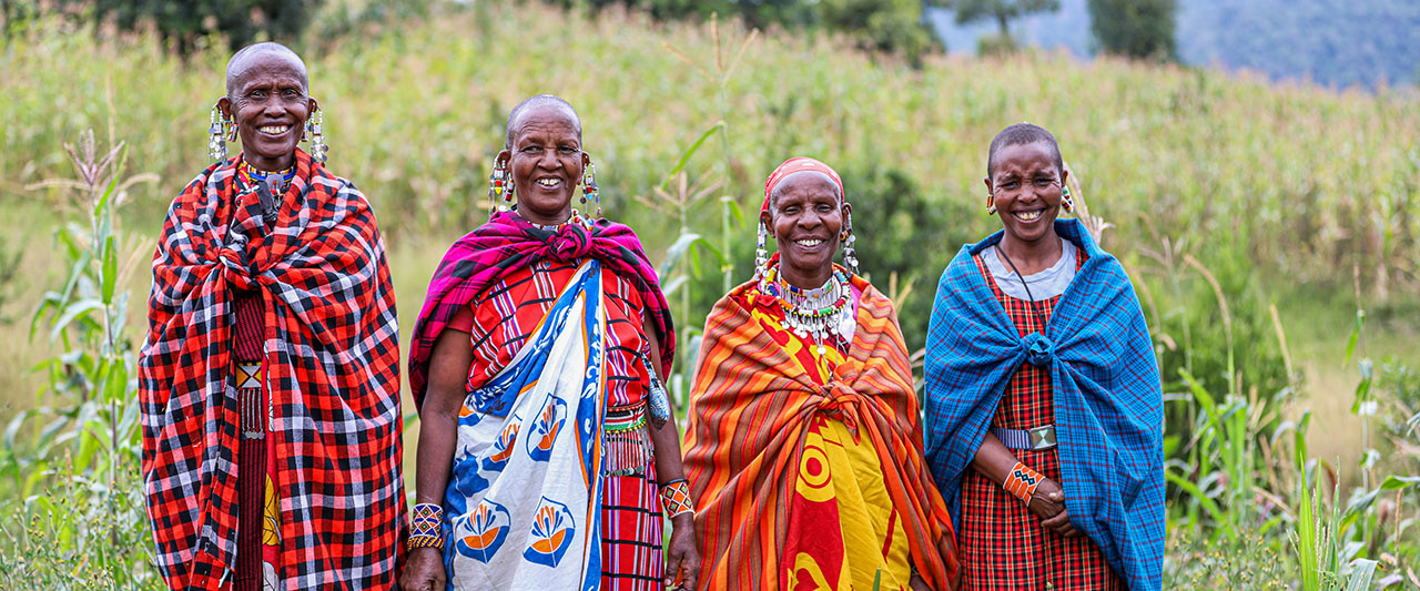 The women of the beehive project stand near the hives.
