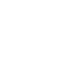 Globe icon