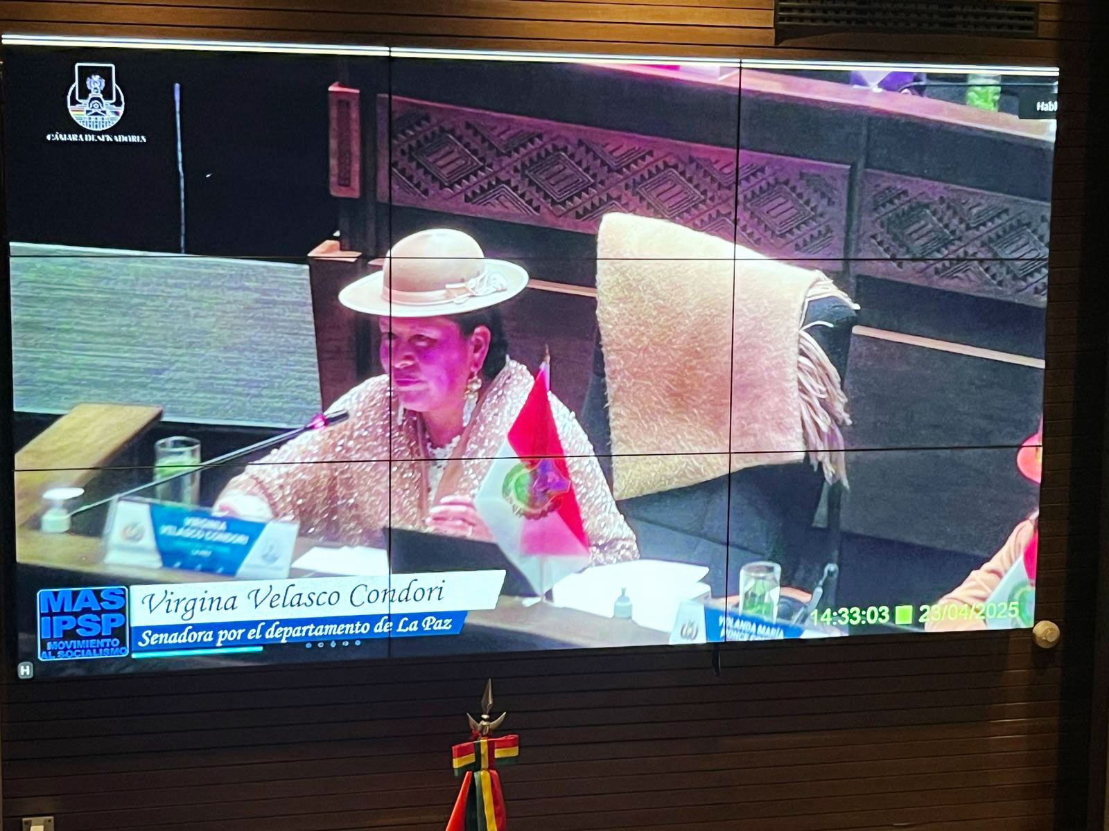 Senator Virginia Velasco Condori during her speech before the plenary A woman in traditional attire and hat, seated at a government meeting table with a Bolivian flag, is shown on a large screen. The text identifies her as Senator Virginia Velasco Condori from La Paz.