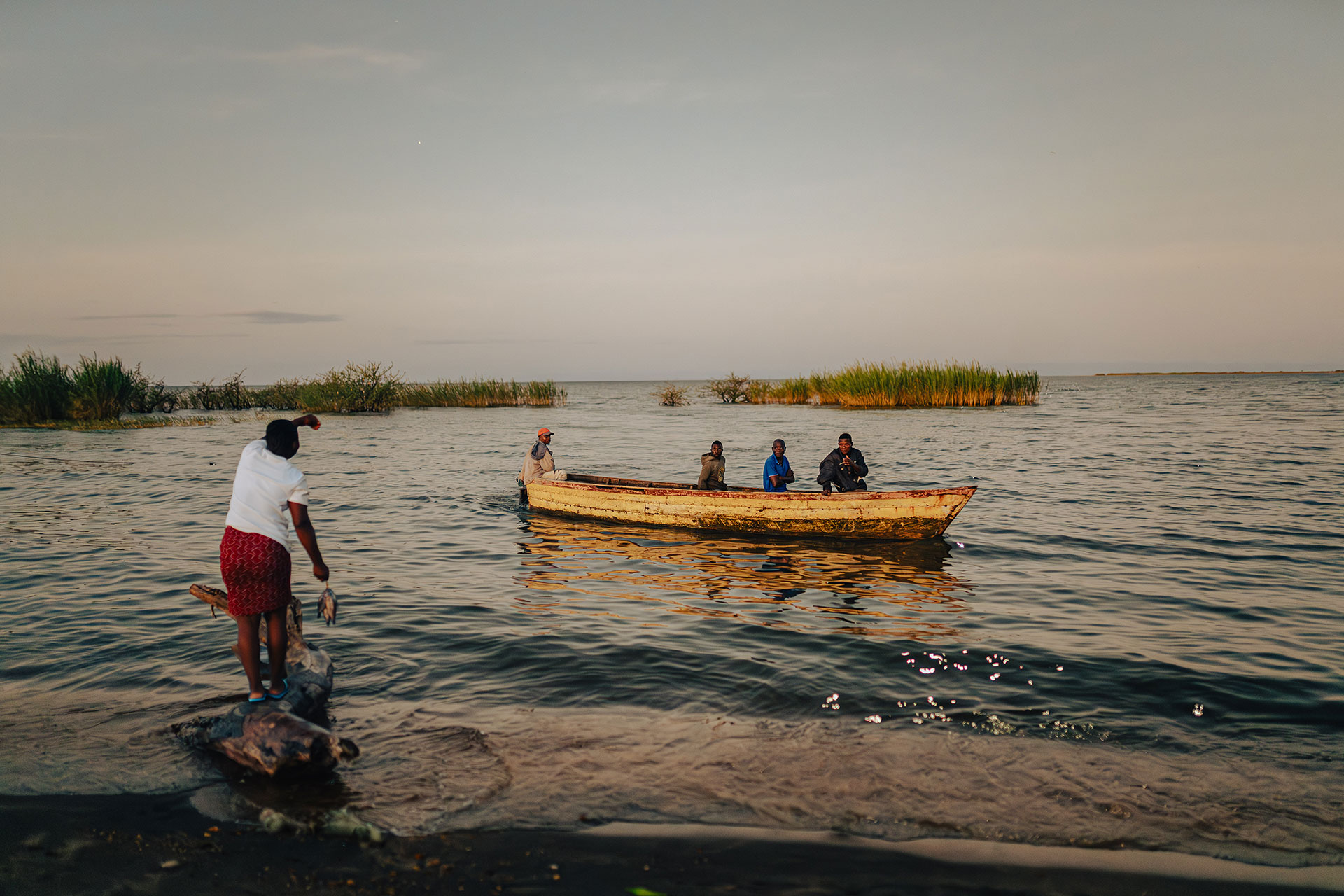 A person stands on the shore while five people sit in a wooden boat on a calm lake, surrounded by patches of tall grass under a clear sky at sunset. A person stands on the shore while five people sit in a wooden boat on a calm lake, surrounded by patches of tall grass under a clear sky at sunset.