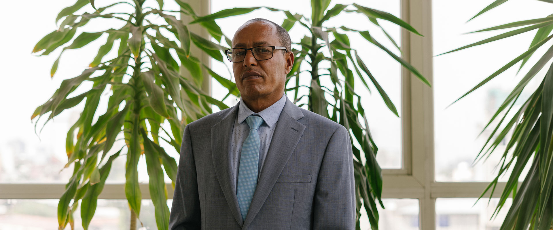 A man wearing glasses and a gray suit with a light blue tie stands indoors in front of large green plants and a window.