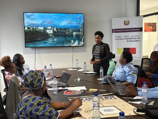 A group of people sit around a conference table with water bottles and documents. A woman stands and speaks, while a uniformed officer and others listen. A large screen displays artwork, and a banner is visible in the background.