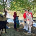 Three people in protective suits and masks speak with two women beside a flooded area under trees, highlighting the impact of Pakistan floods on rural communities and their concerns about women’s reproductive health. A calf and a man are seen in the background.