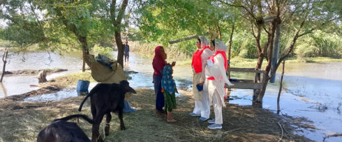 Three people in protective suits and masks speak with two women beside a flooded area under trees, highlighting the impact of Pakistan floods on rural communities and their concerns about women’s reproductive health. A calf and a man are seen in the background.