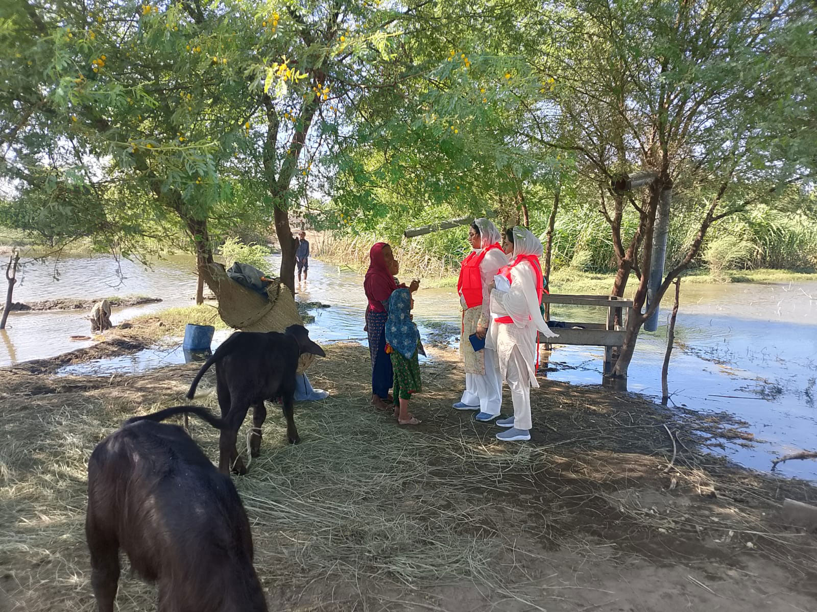 Aid workers in protective gear and red vests talk with a woman and child near a flooded rural area, with trees, water, and grazing animals in the background.