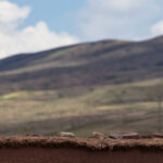 A woman in traditional clothing and a yellow hat stands by an adobe wall, facing distant mountains under a partly cloudy sky.