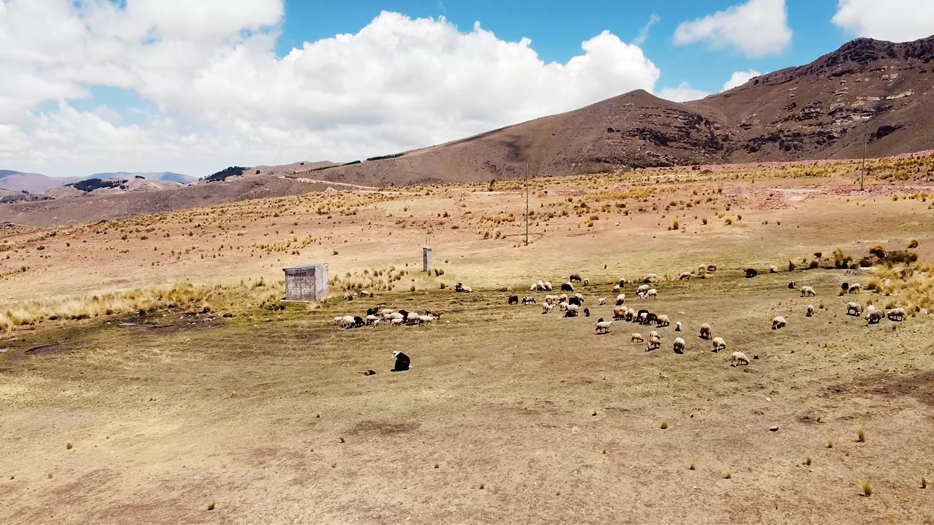 A dry, grassy plain with scattered sheep, a shepherd in black clothing, two small structures, and hills in the background under a blue sky with white clouds.